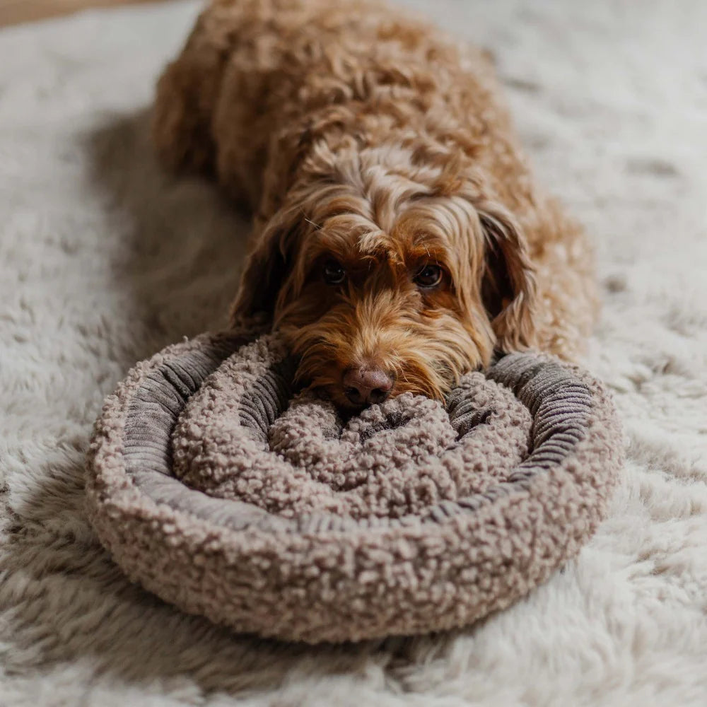District 70 SWIRL Snuffelmat voor Honden Mentale Uitdaging en Anti-Verveling