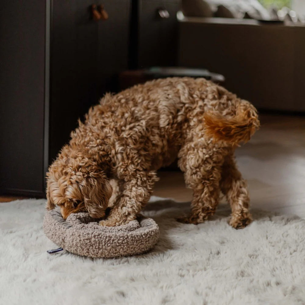 District 70 SWIRL Snuffelmat voor Honden Mentale Uitdaging en Anti-Verveling