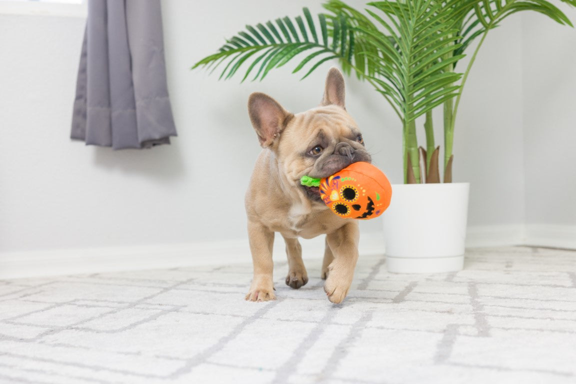 Lulubelles Tiny Tuff Pumpkin Treats – Halloween Hondenspeelgoed 2-pack