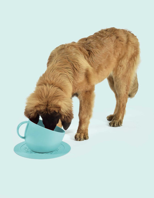 United Pets “Set Cup” – Grote antislip bak + mat - Aqua