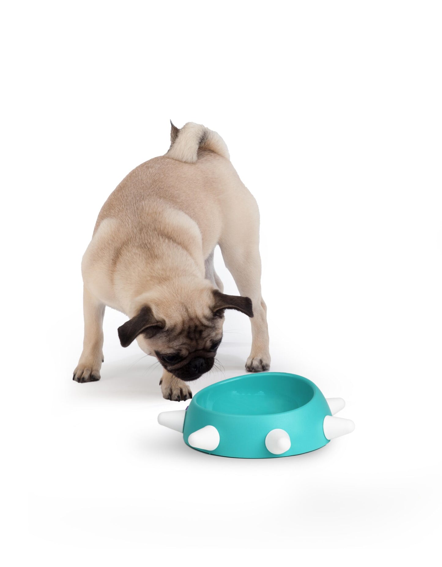 United Pets Spikes Bak – blauw & vormgegeven comfort