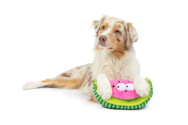 Huxley & Kent Watermeloen Hondenknuffel met Pieper