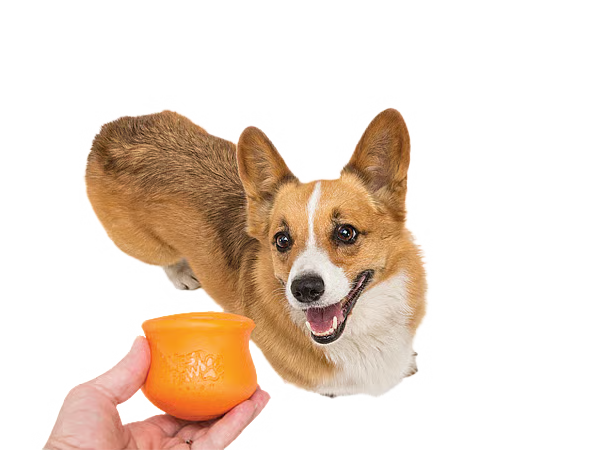 West Paw Zogoflex Toppl – Traktatie Puzzel & Slowfeeder voor Honden (S/L/XL) | vaatwasserbestendig