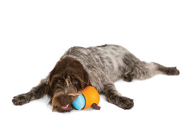 West Paw Zogoflex Toppl – Traktatie Puzzel & Slowfeeder voor Honden (S/L/XL) | vaatwasserbestendig