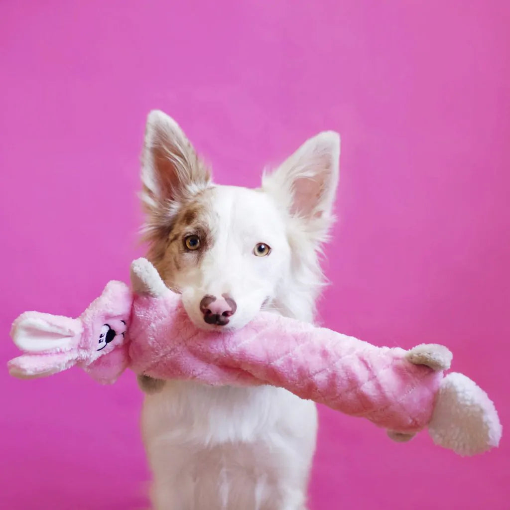 ZippyPaws Jigglerz – Bunny - Pluche Hondenspeelgoed