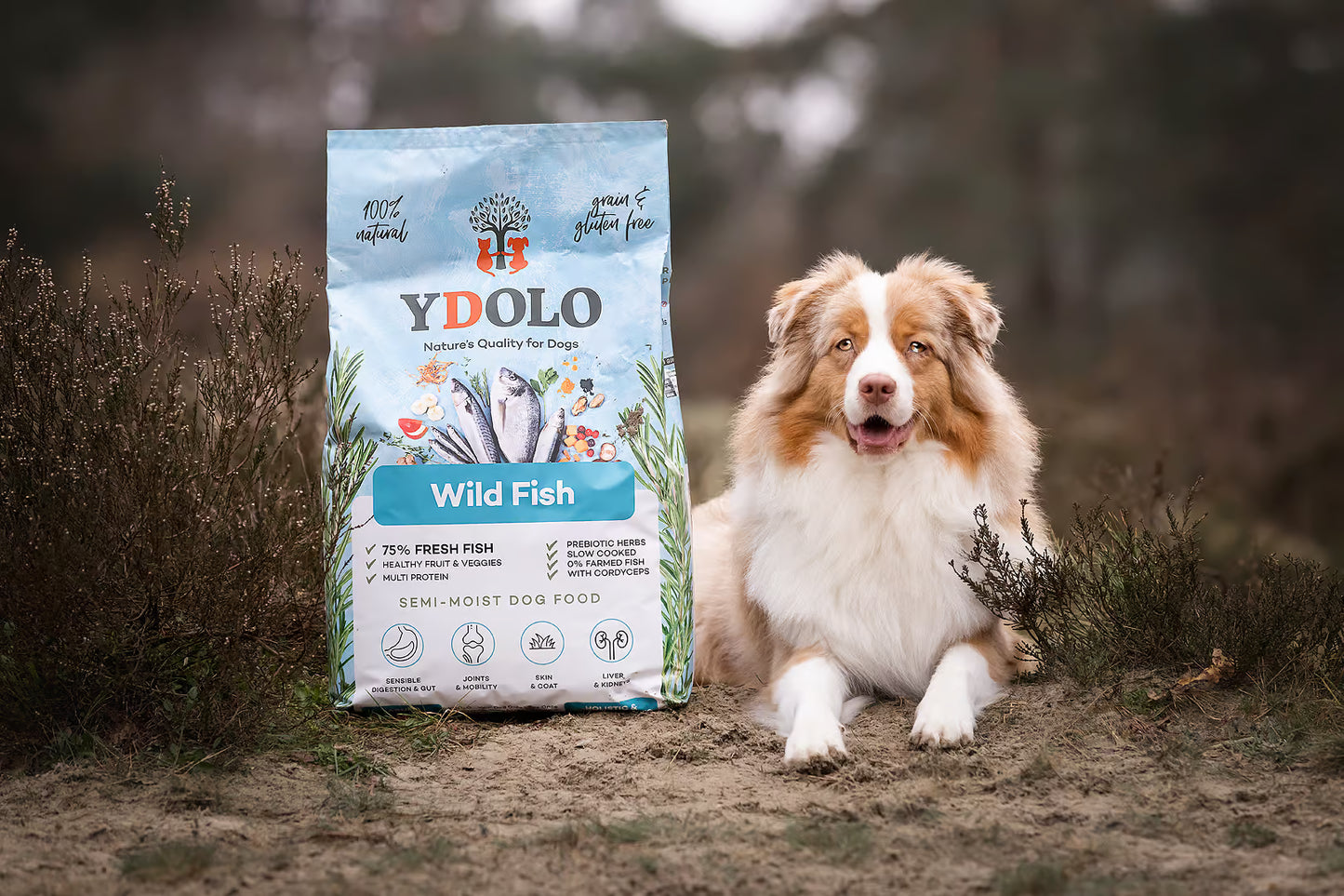 YDOLO Healthy & Pure Wild Fish – Semi-Moist Drooghondenvoer (2,5 kg & 10 kg)