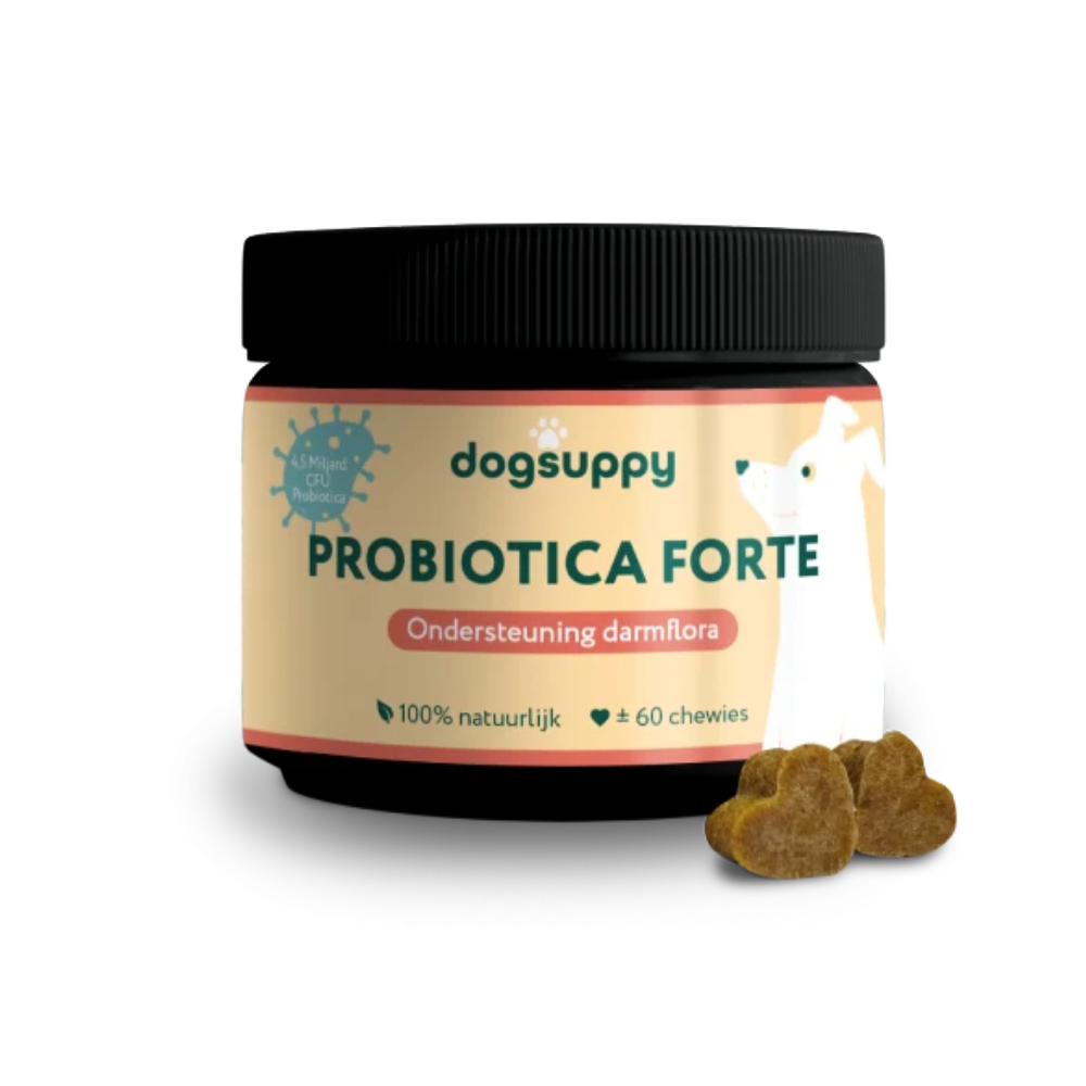 DogSuppy Probiotica Forte – Probiotica Chewies voor Hond (60 stuks) | Darmflora & Spijsvertering