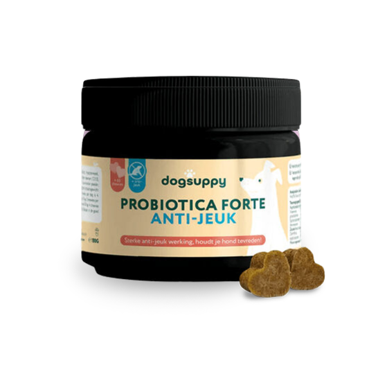 DogSuppy Probiotica Forte Anti-Jeuk – Supplement voor Honden bij Jeuk, Pootlikken & Allergieën (60 Chewies)