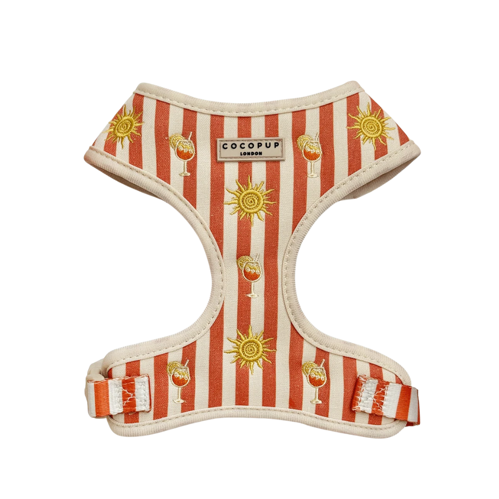 Cocopup London Sunshine & Spritz – Verstelbaar Hondentuig