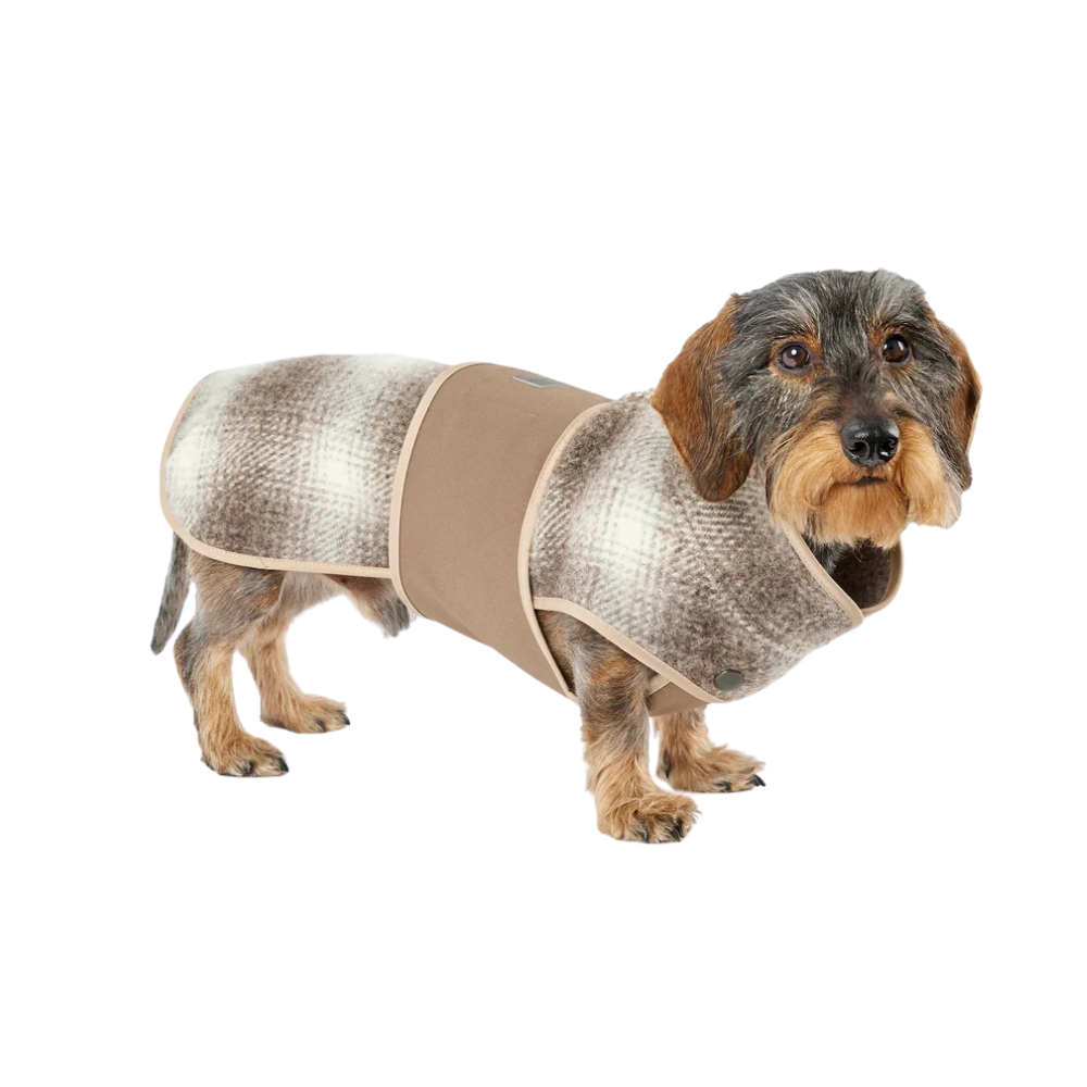 Leopold’s Finest Loden Hondenjas Karo Bruin – Voor Teckels & Kleine Honden