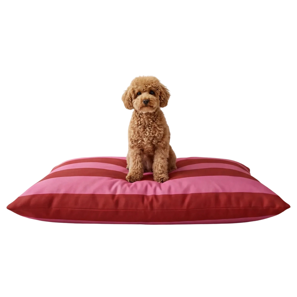 Orthopedische Hondenkussen Two Tone – 100 × 70 cm
