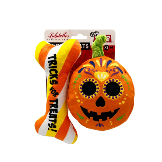 Lulubelles Tiny Tuff Pumpkin Treats – Halloween Hondenspeelgoed 2-pack