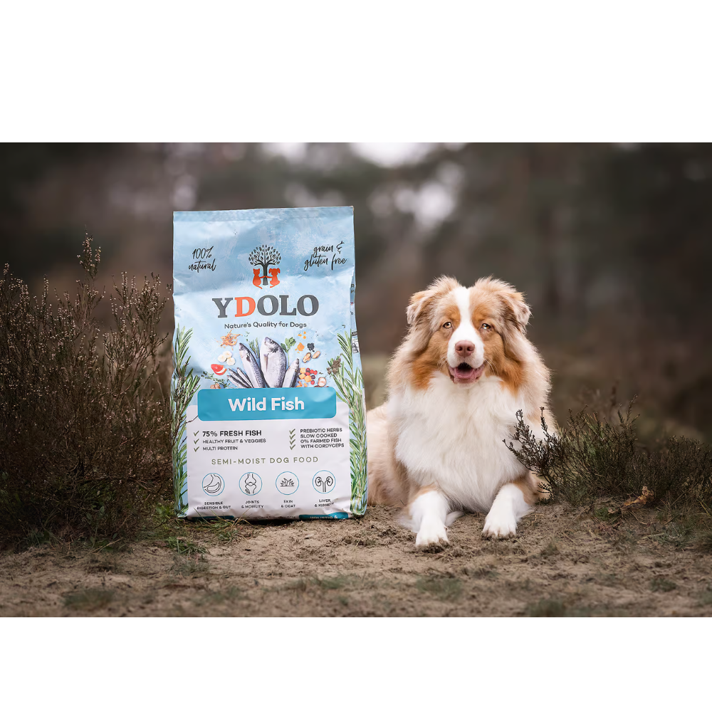 YDOLO Healthy & Pure Wild Fish – Semi-Moist Hondenvoer 2,5 & 10 kg