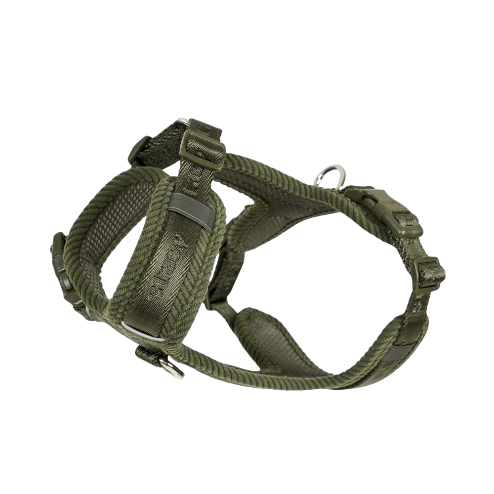 STAEY Numa Hondentuig – Moss Green