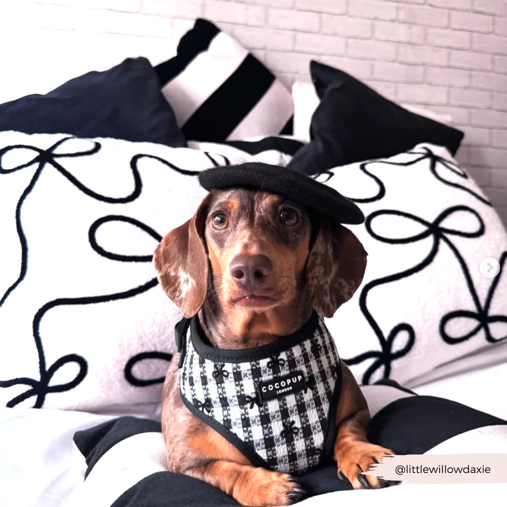 Cocopup London Pup in Paris – Verstelbaar hondentuig