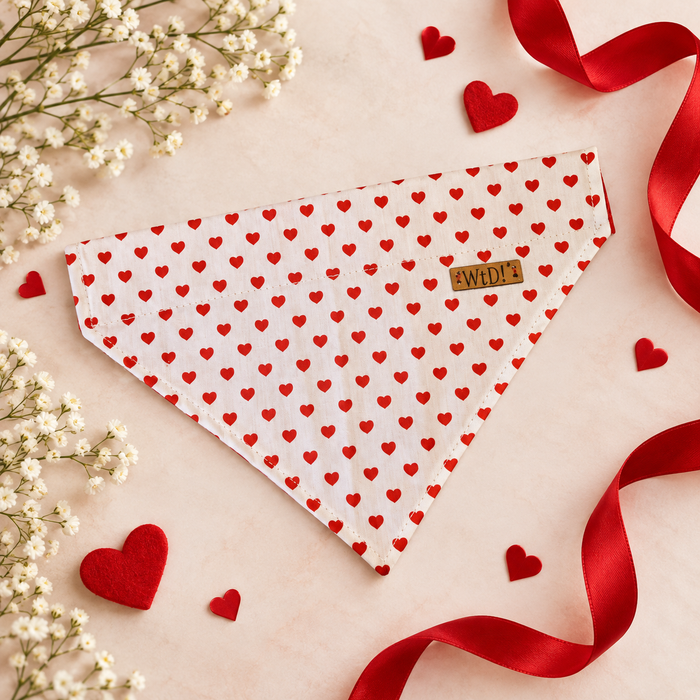 Walk That Dog Oh My Sweet Heart – Hondenbandana