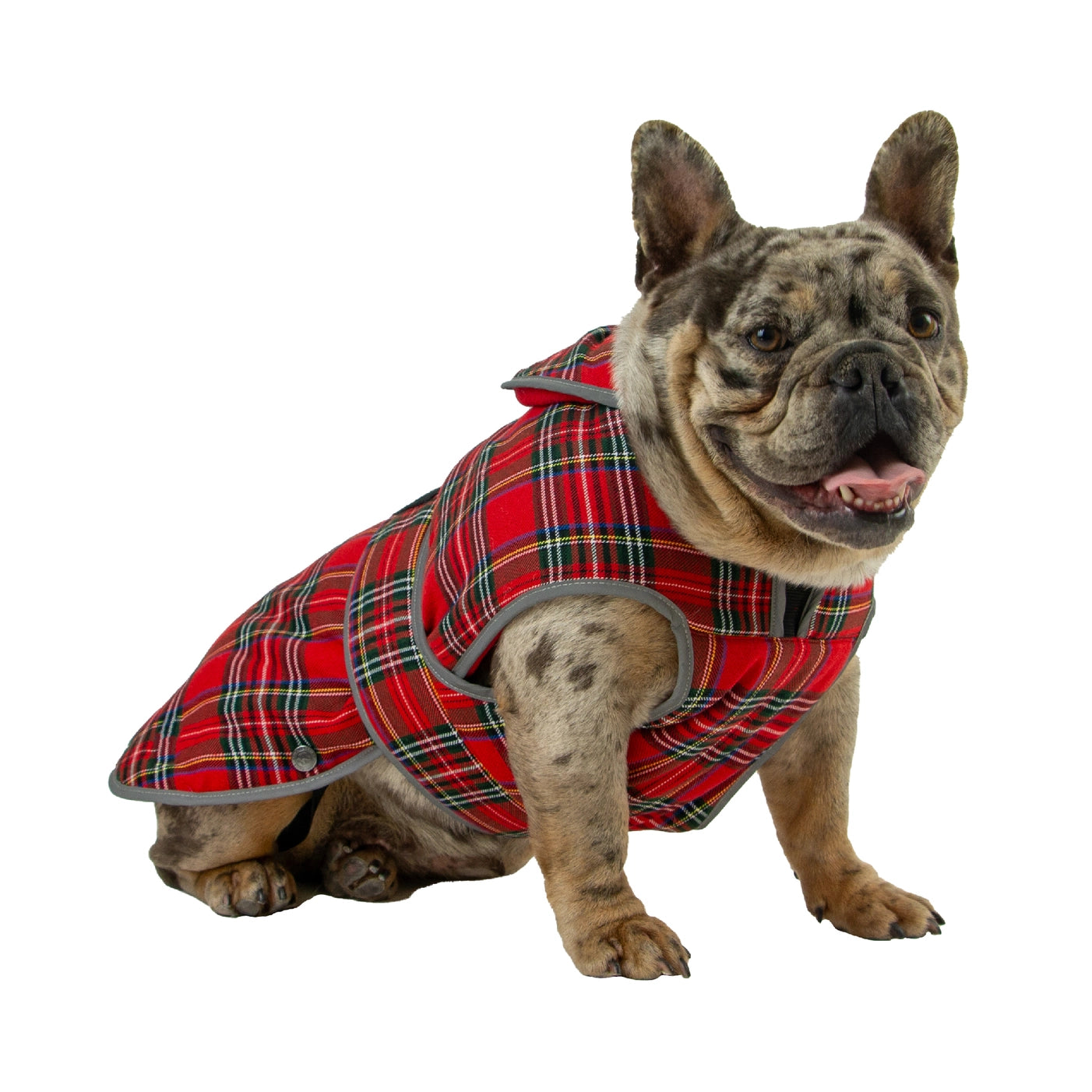 Tartan Highland jas hond roods tartan fleece gevoerd