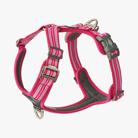 Dog Copenhagen Walk Air 3.0 Wild Rose