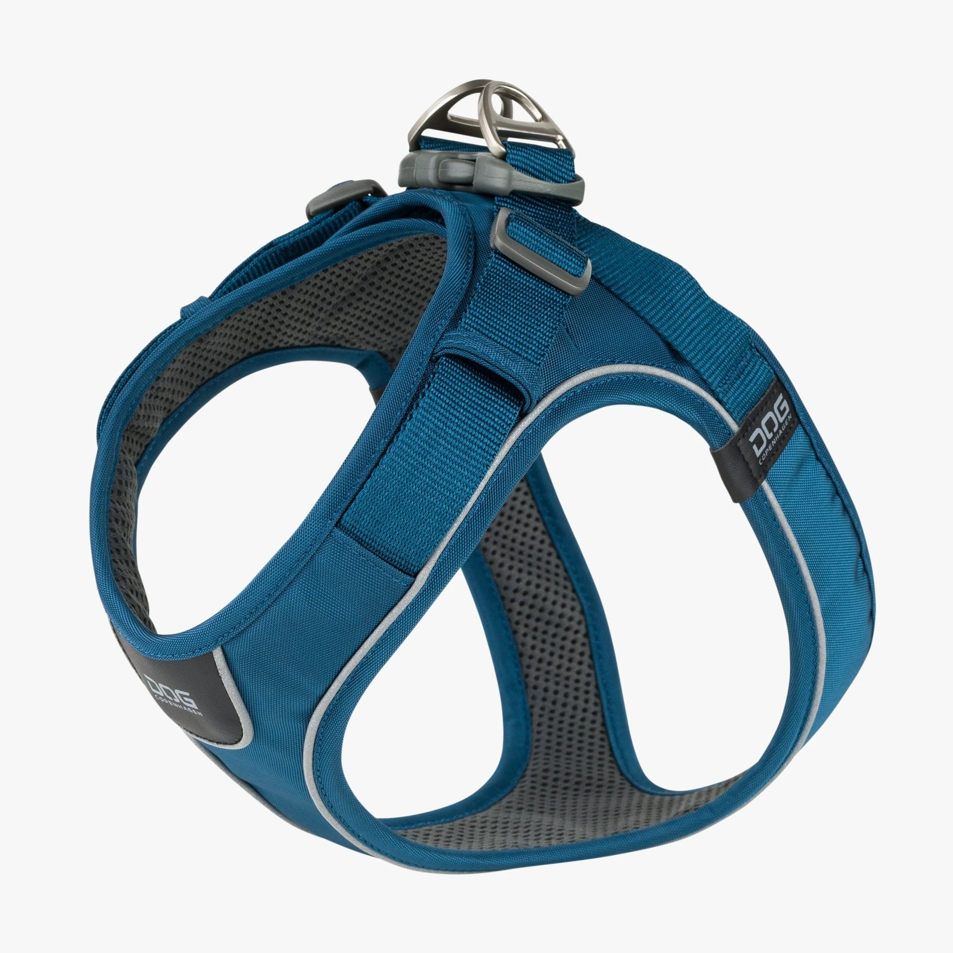 Dog Copenhagen Walk Go Ocean Blue