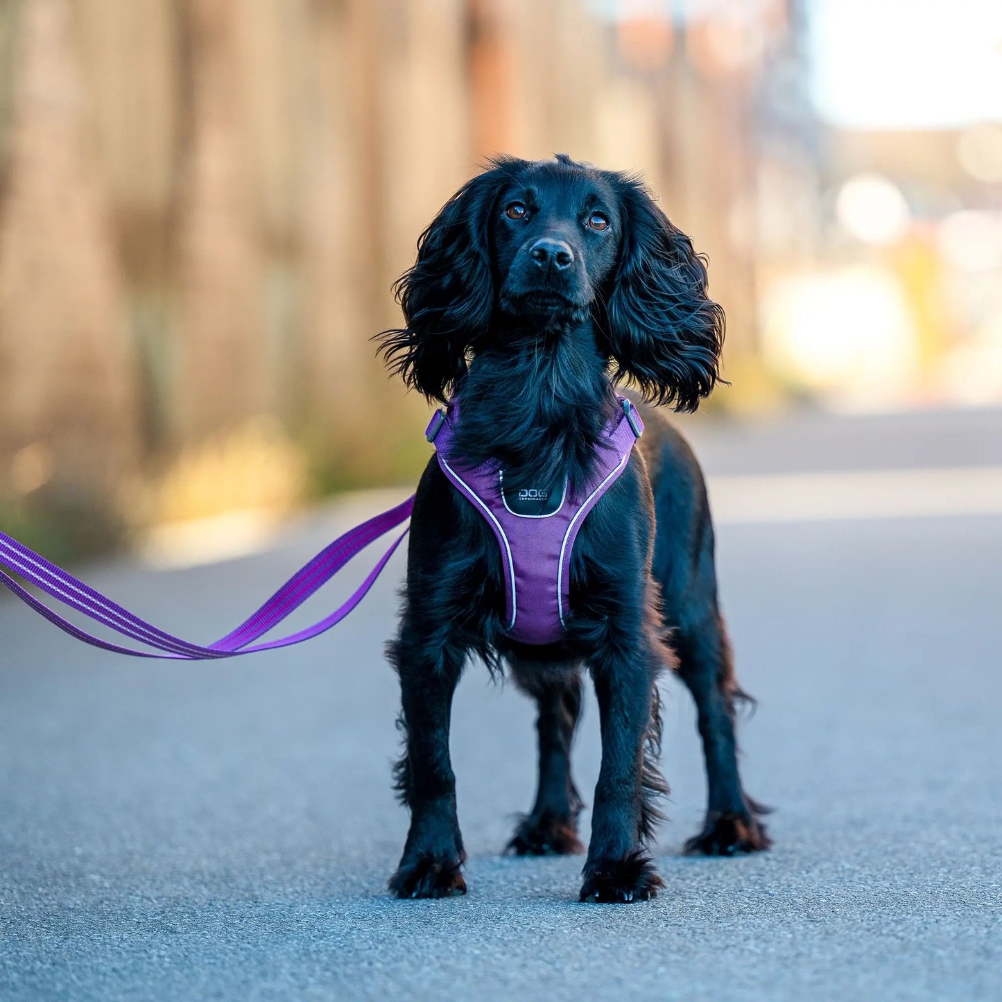 Dog Copenhagen Comfort Walk Go Harness Oranje