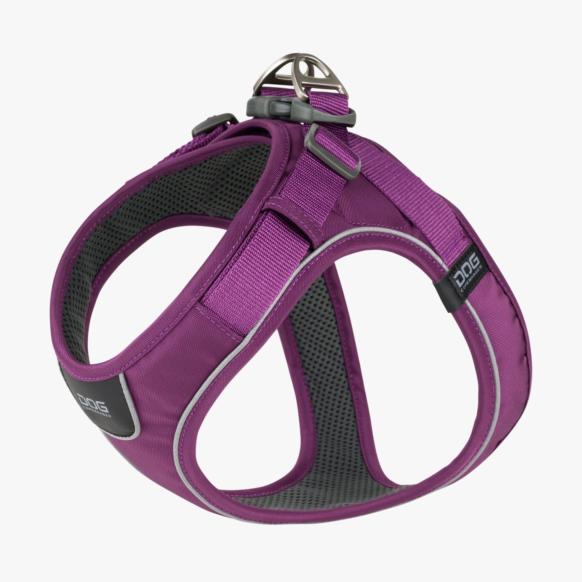 Dog Copenhagen Walk Go Purple Passion