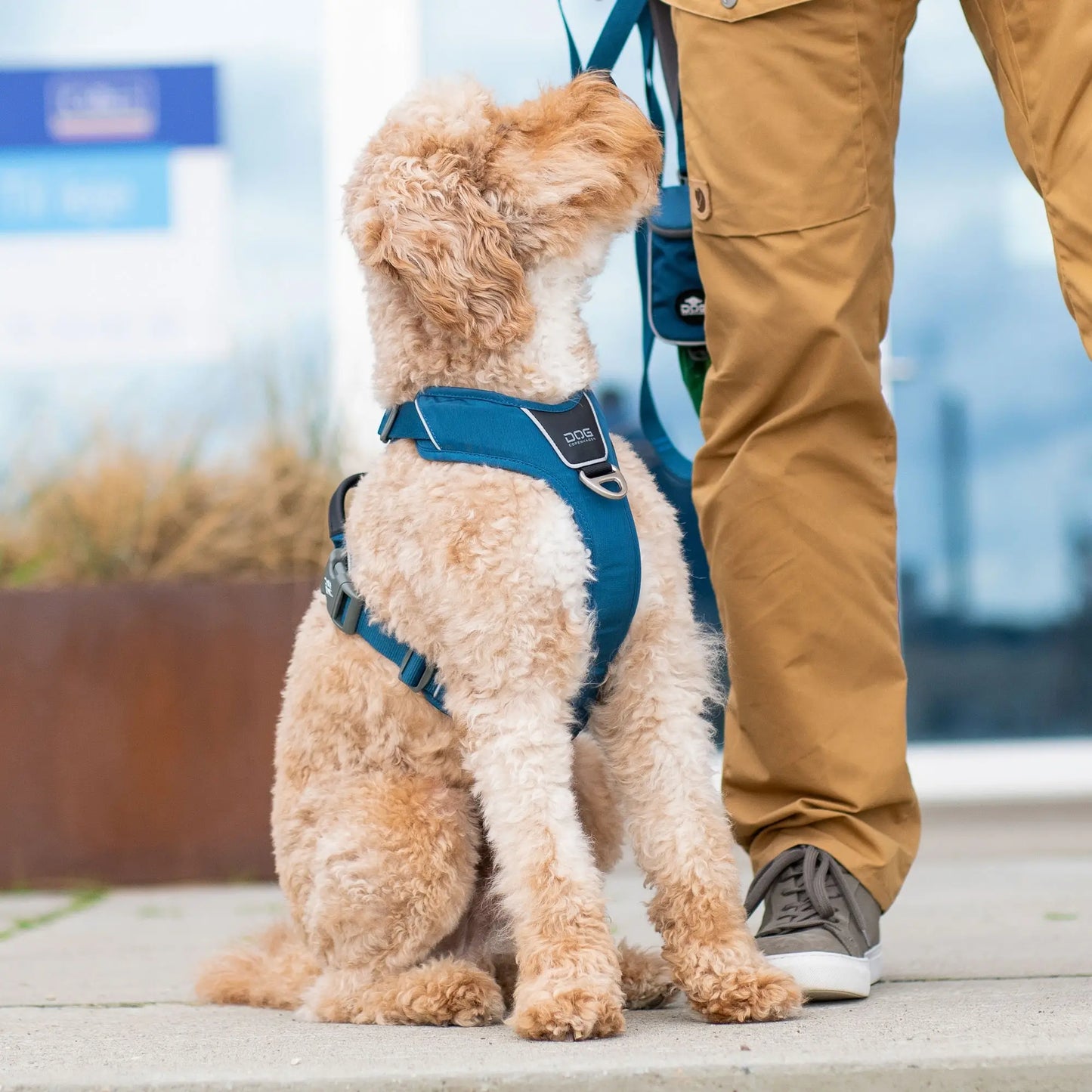 Dog Copenhagen Comfort Walk Pro Harness Bruin 3.0