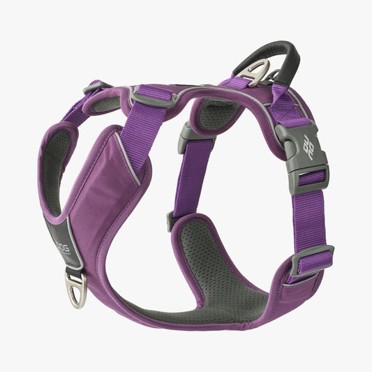 Dog Copenhagen Walk Pro Purple Passion