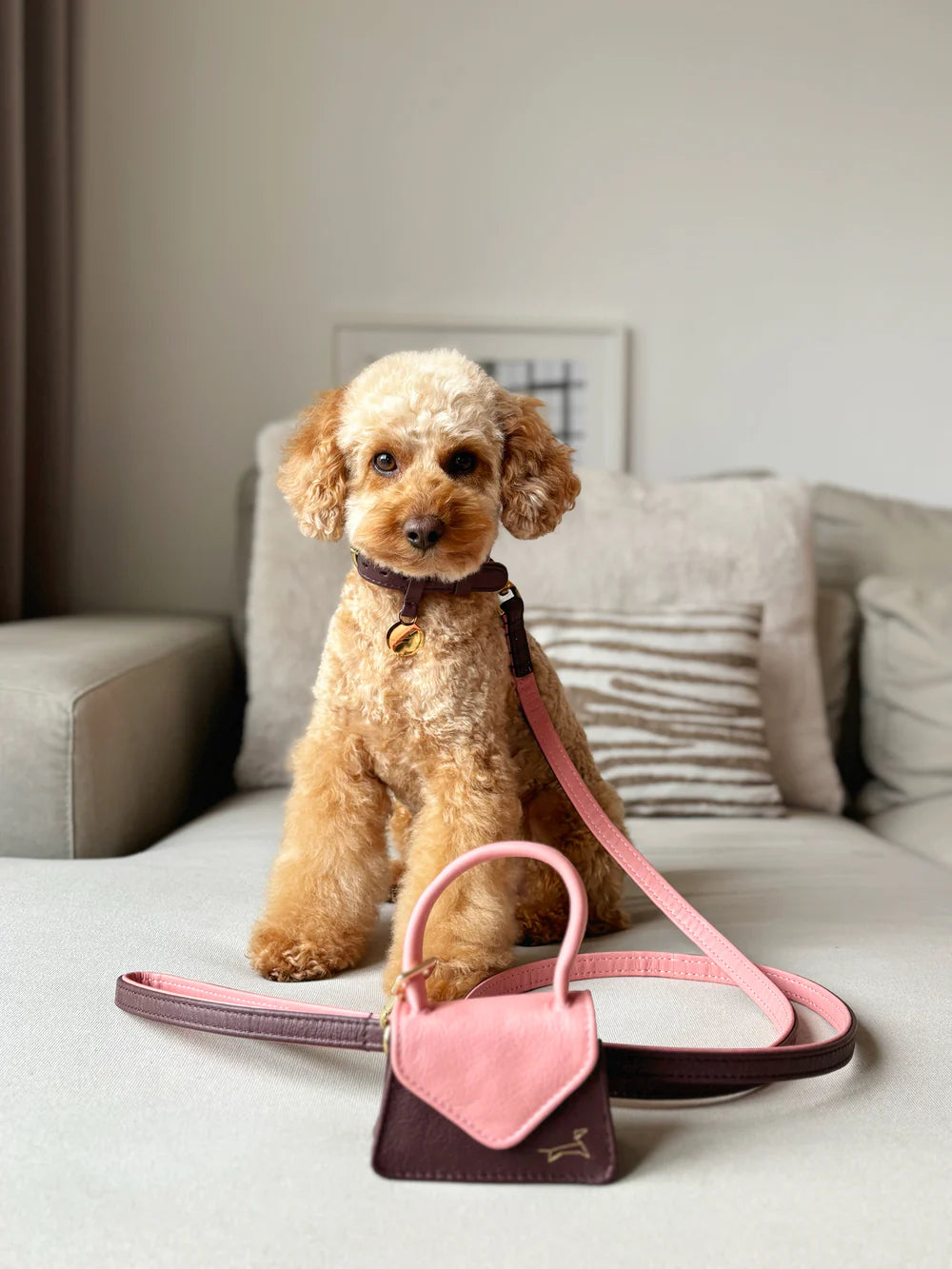 The Dog Musthaves Hondenlijn – Klassiek Two Tone met messing afwerking