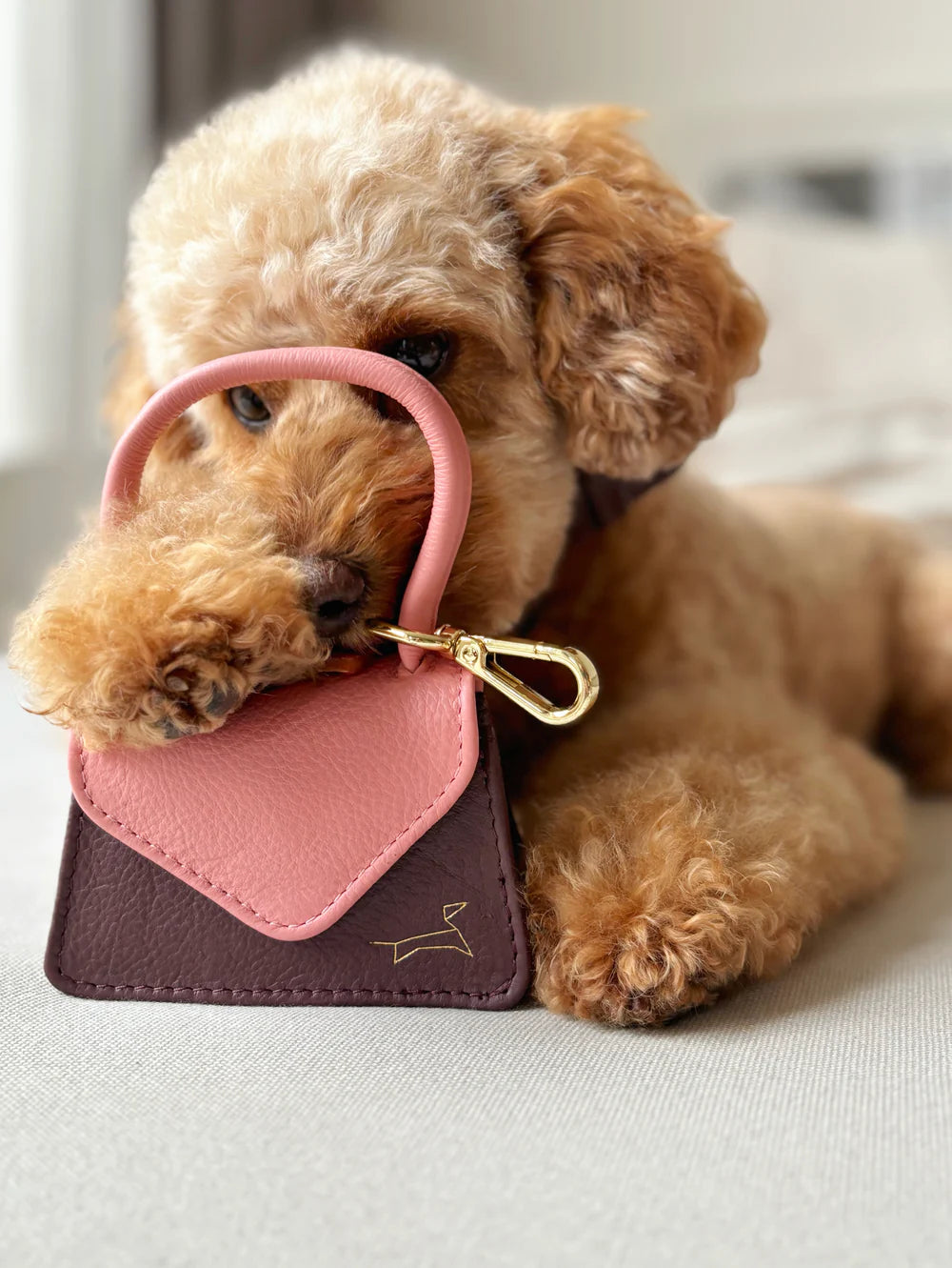 Beloningstasje Blush Two Tone – Leren Reward Bag Hond