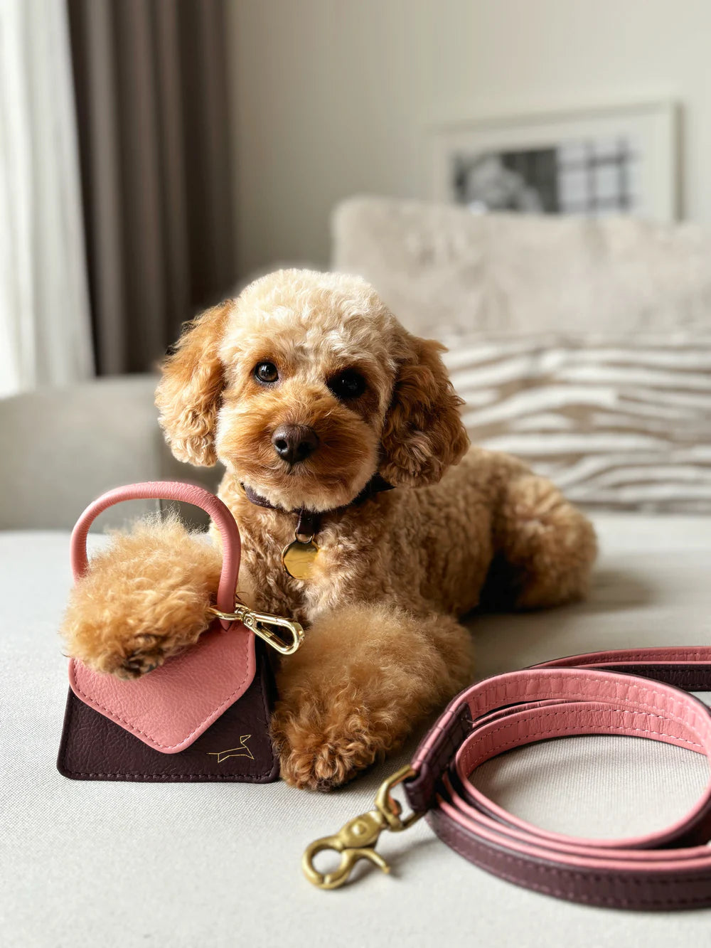 The Dog Musthaves Hondenlijn – Klassiek Two Tone met messing afwerking
