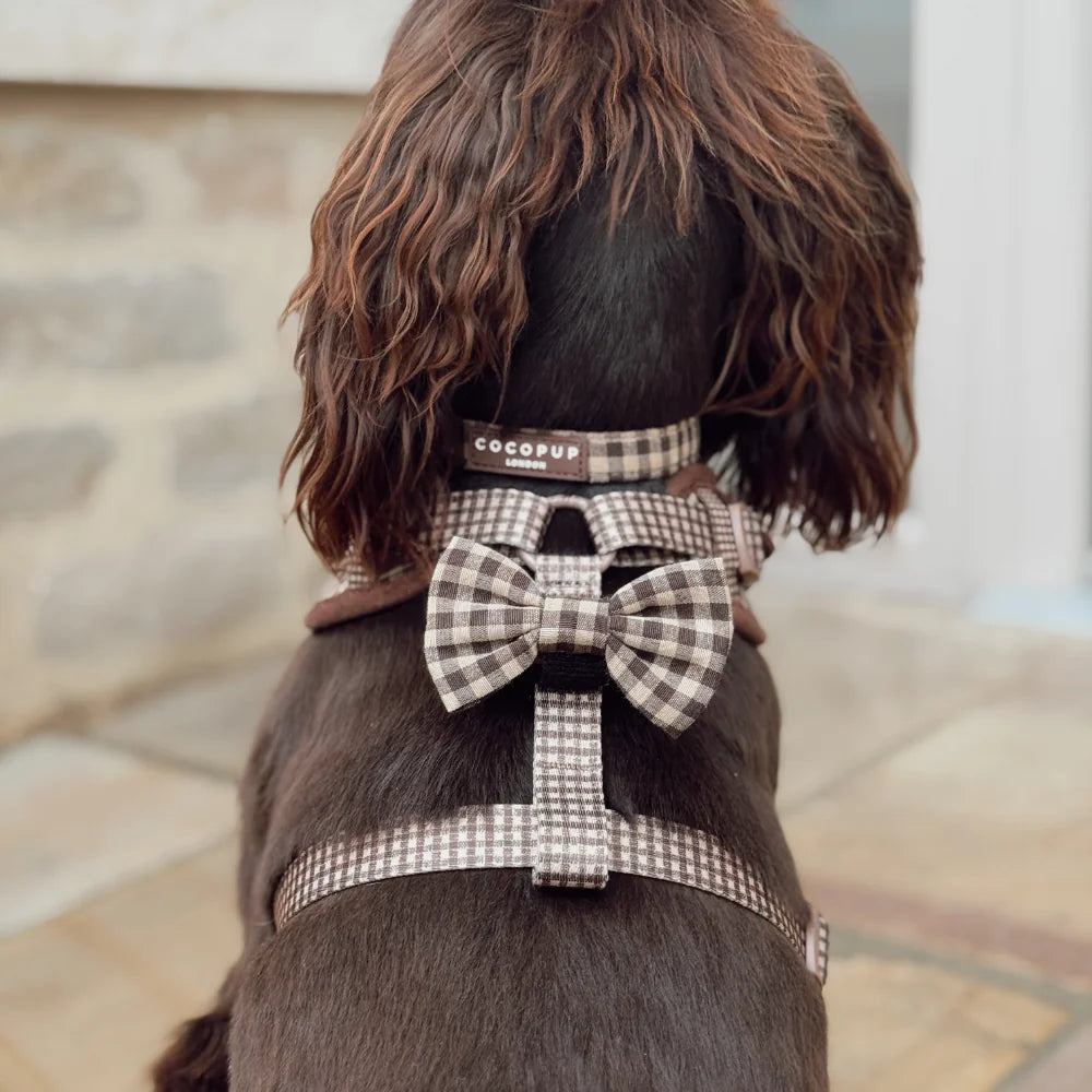 Cocopup London Cotswold Check – Hondenhalsband