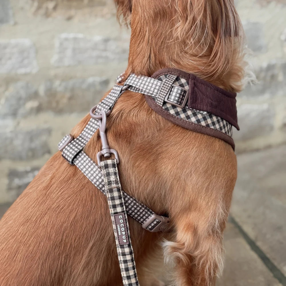 Cocopup London Cotswold Check – Verstelbaar Hondentuig