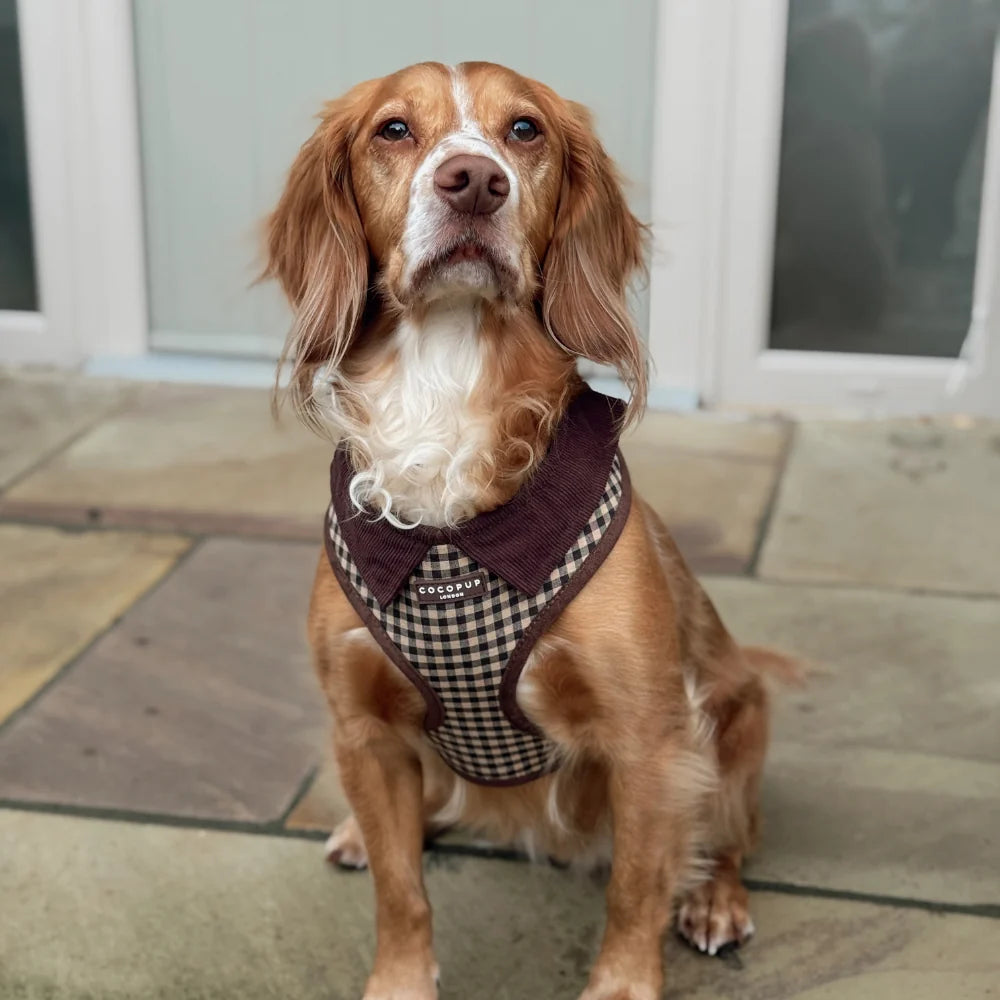 Cocopup London Cotswold Check – Verstelbaar Hondentuig