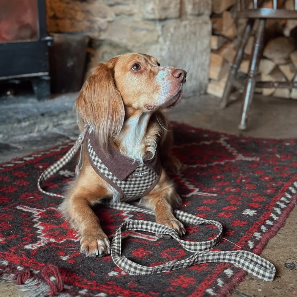 Cocopup London Cotswold Check – Verstelbaar Hondentuig