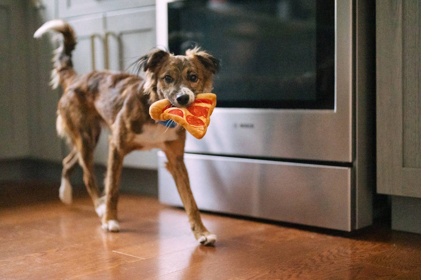 P.L.A.Y Snack Attack Puppy-roni Pizza – hondenspeelgoed met piepers