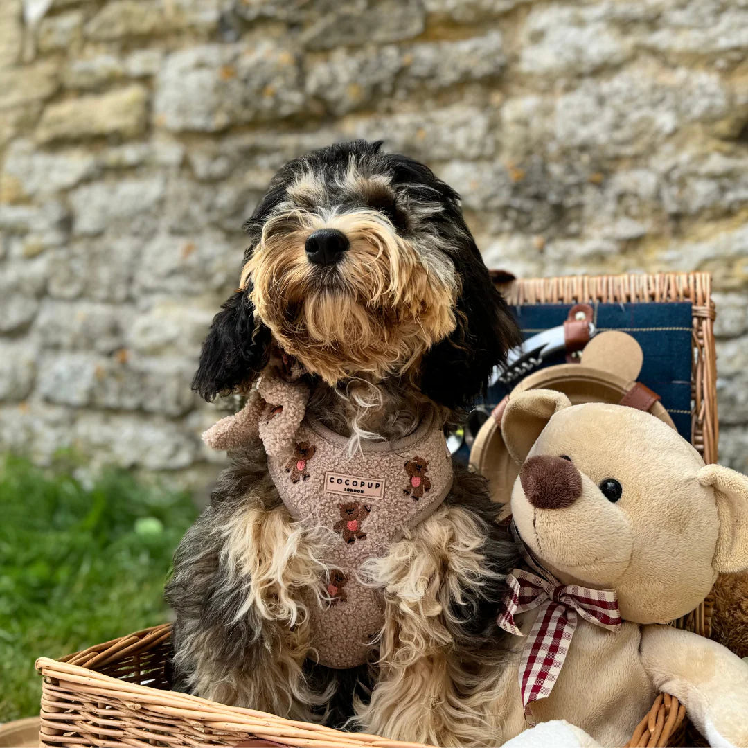 Cocopup London Theo Embroidered Teddy (verstelbaar Hondentuig)