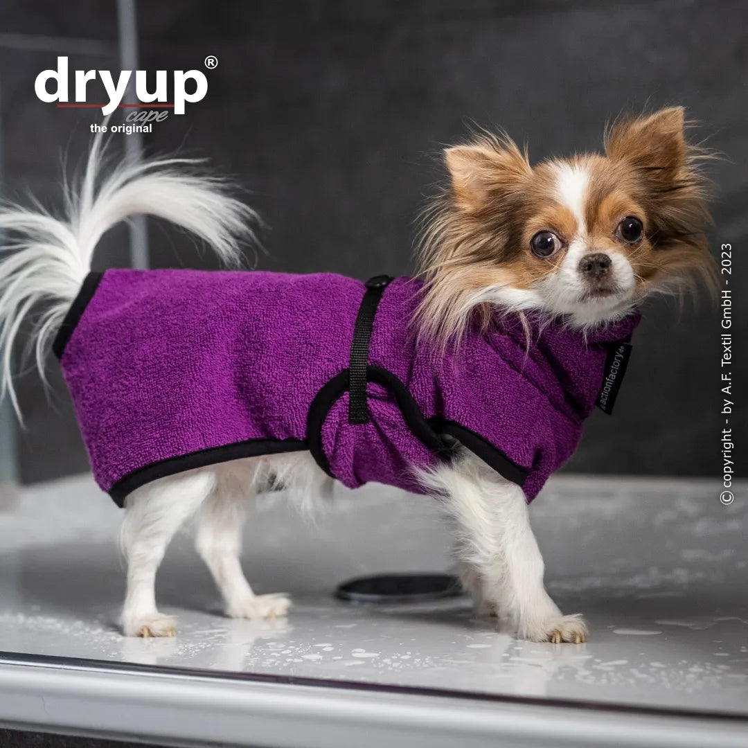 dryup® Cape Nano/Mini Hondenbadjas - Bilberry (paars) 15 - 45 cm