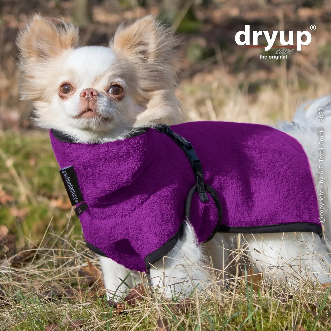 dryup® Cape Nano/Mini Hondenbadjas - Bilberry (paars) 15 - 45 cm
