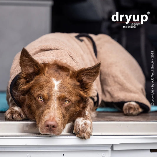 dryup® Cape Hondenbadjas - Coffee (zand) maat XS - XXL