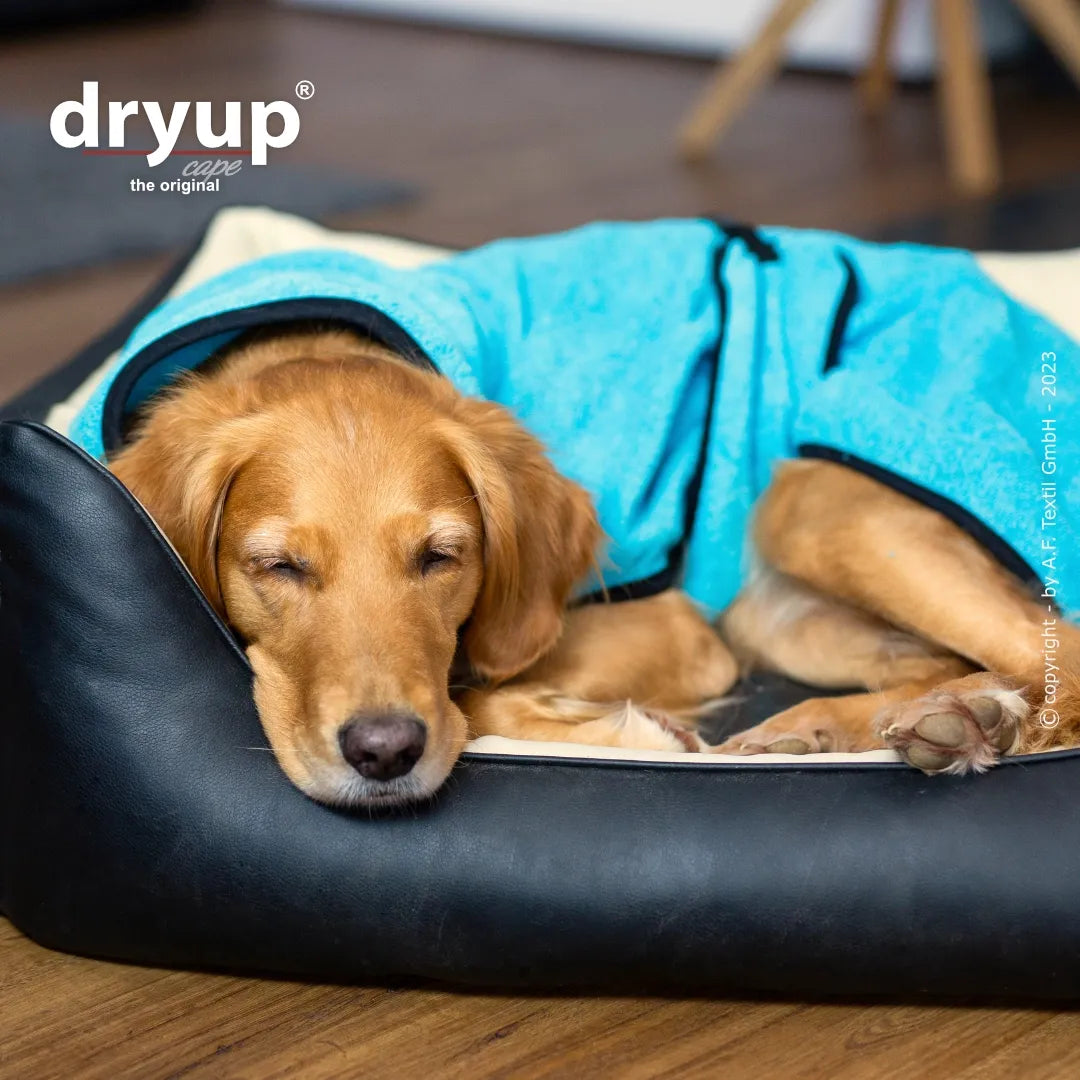 dryup® Cape Hondenbadjas - Cyan (lichtblauw) maat XS - XXL