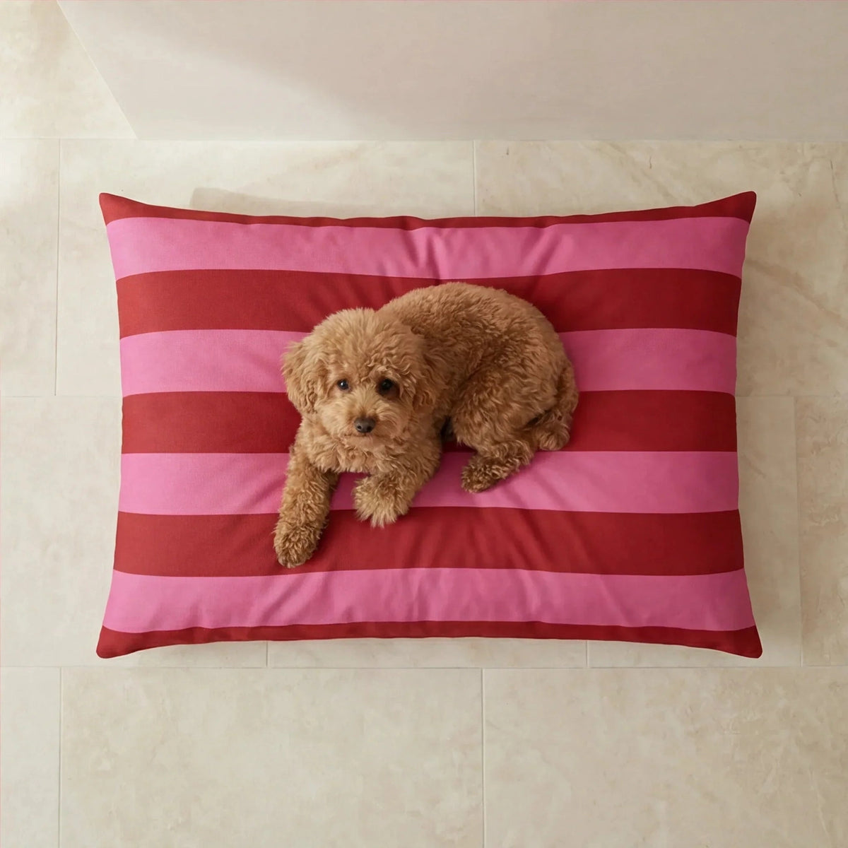 Orthopedische Hondenkussen Two Tone – 100 × 70 cm