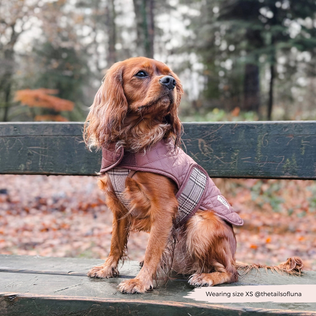 Cocopup London Gewatteerde Puppy Hondenjas Ruit – Teddyvoering – XS t/m M