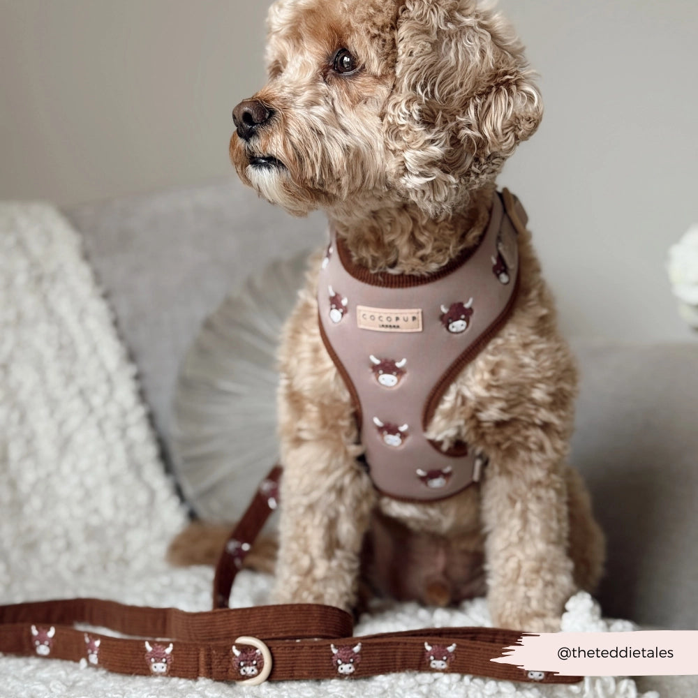Cocopup London - the Highland Cow Lead | stijlvolle hondenlijn