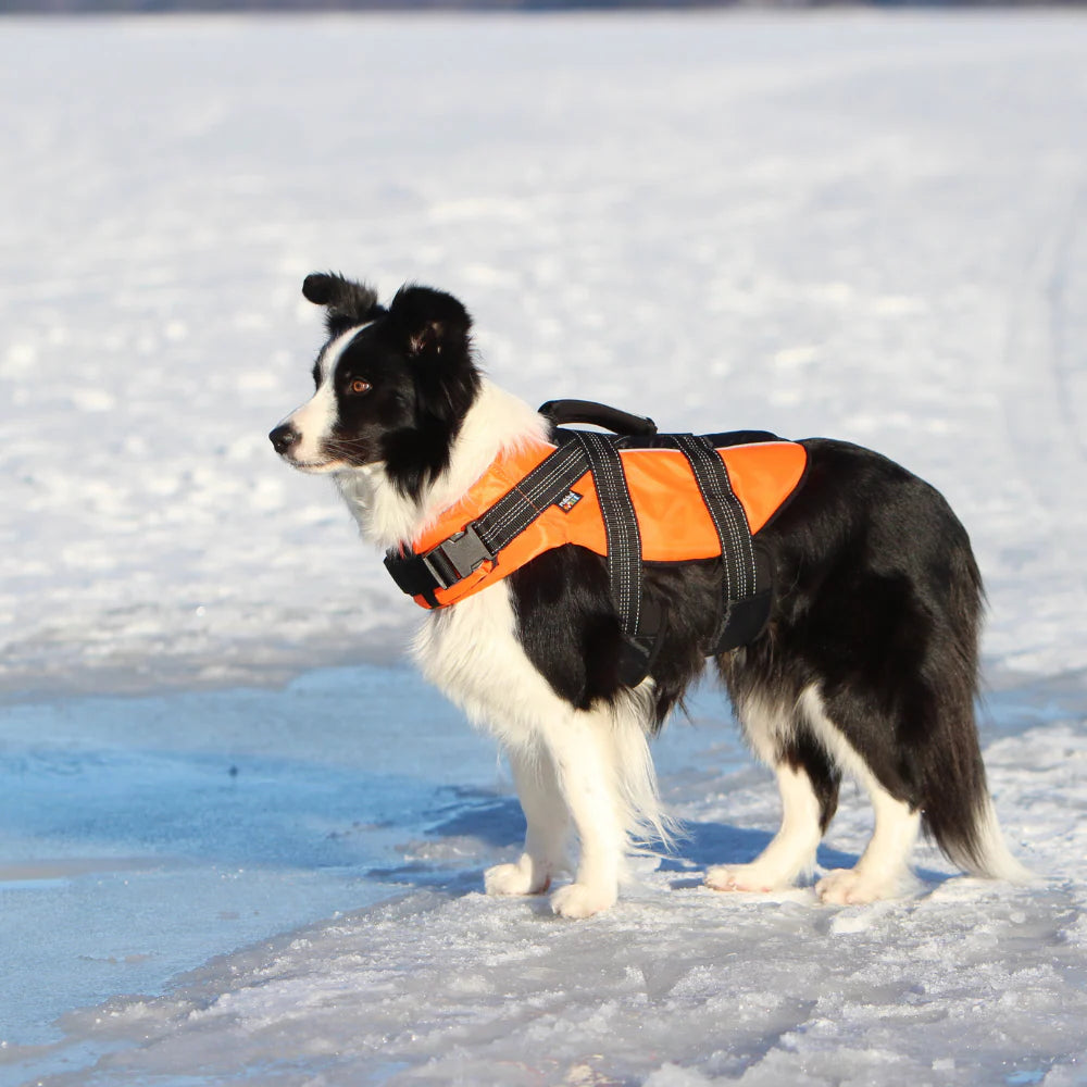 Rukka Safety Life Vest – veilig zwemmen en varen met je hond