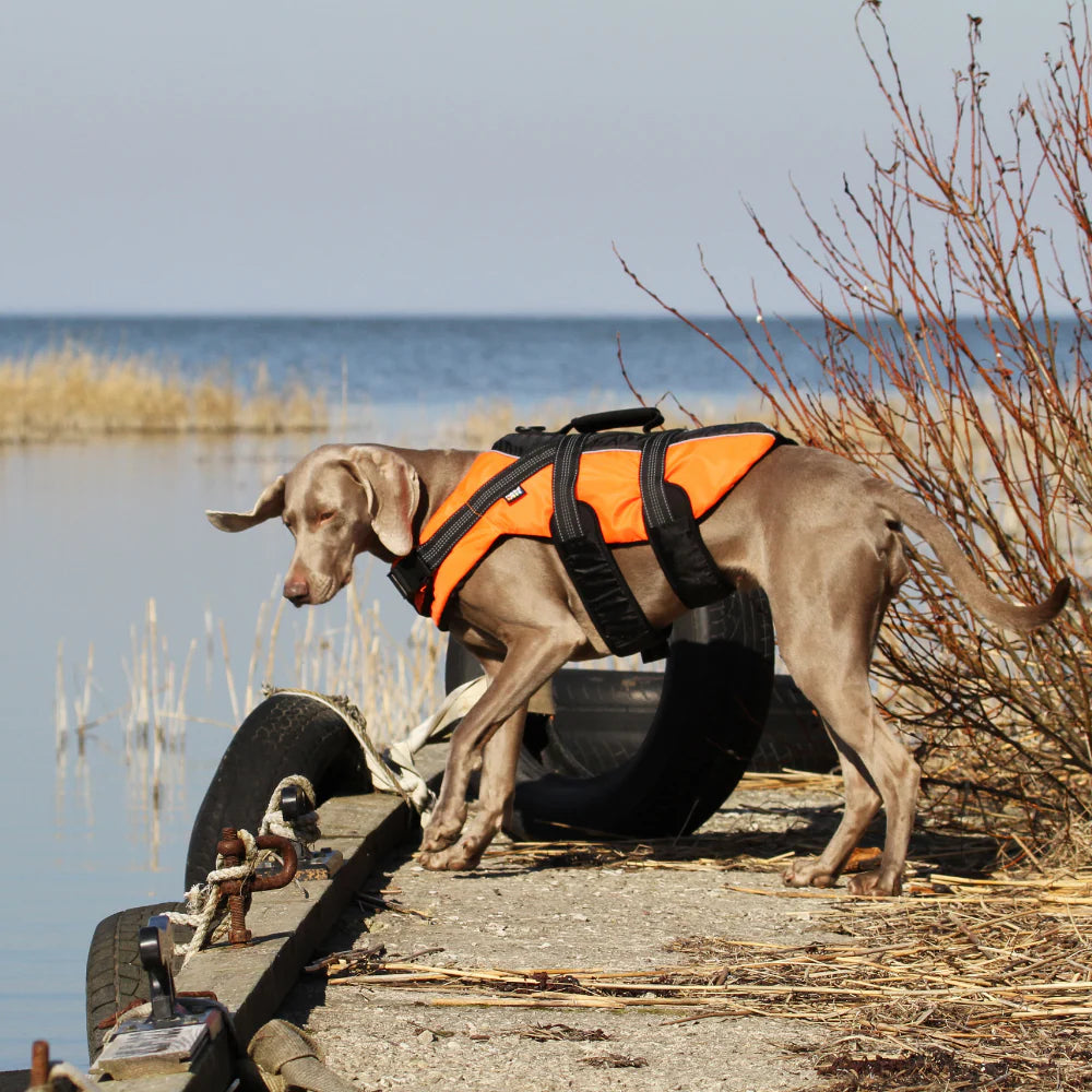 Rukka Safety Life Vest – veilig zwemmen en varen met je hond