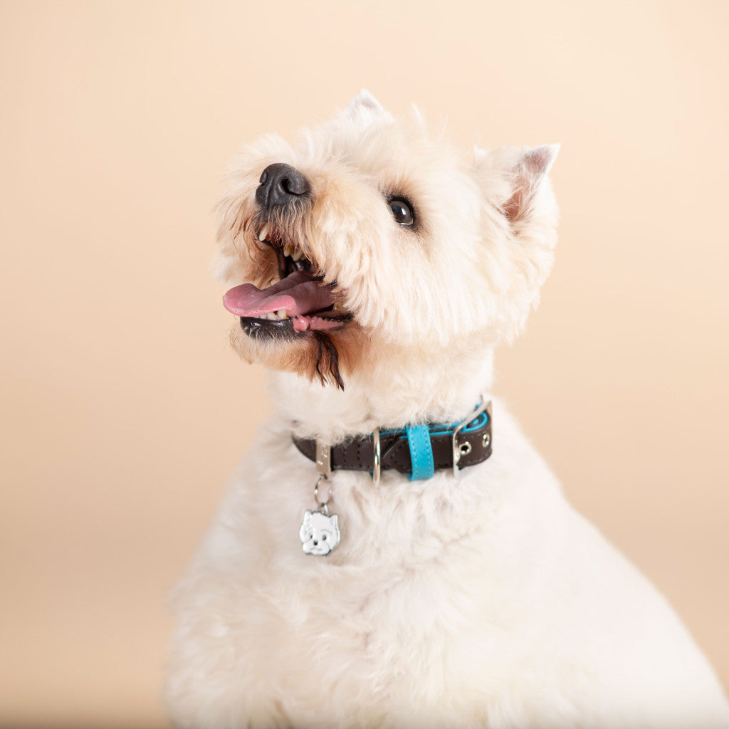 My Family Hondenpenning West Highland White Terrier | Gratis Gravure