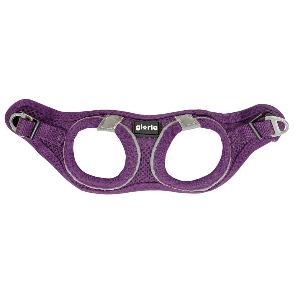 Gloria Air Mesh Trek Star Hondentuig – Paars