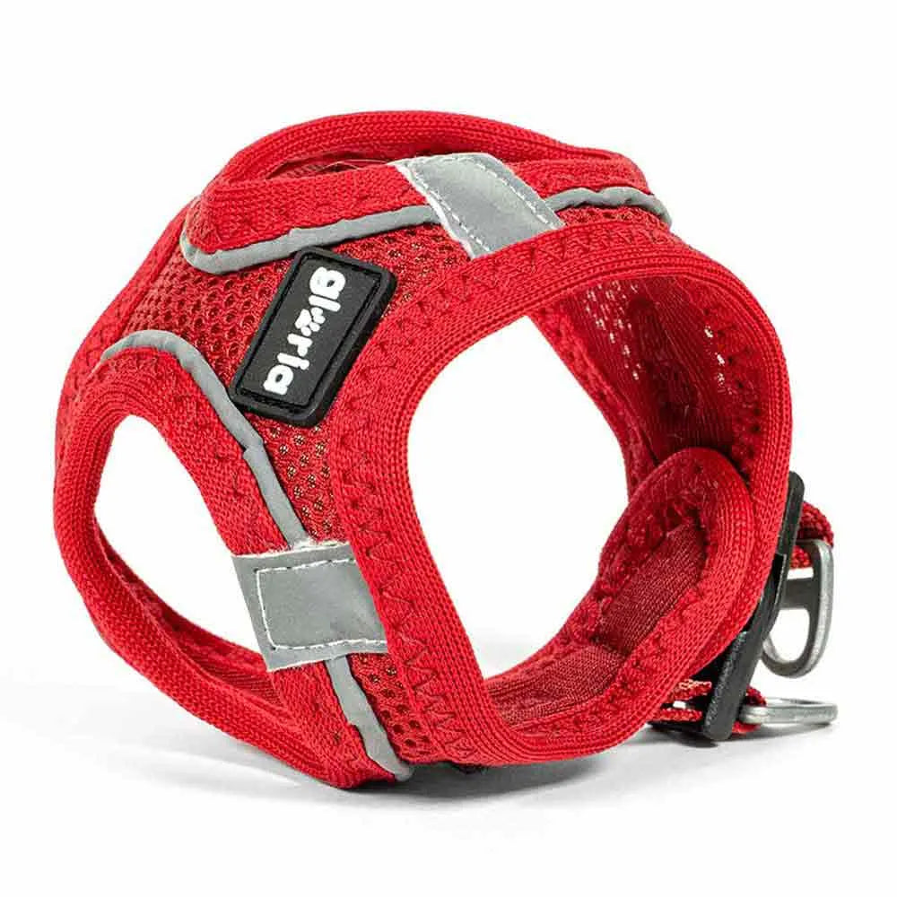 Gloria Air Mesh Trek Star hondentuig rood op witte achtergrond