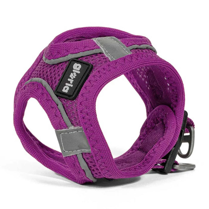 Gloria Air Mesh Trek Star Hondentuig – Paars