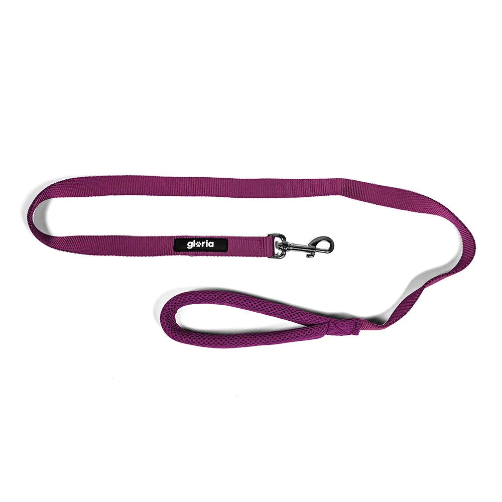 Gloria Air Mesh Trek Star Hondenlijn – Paars